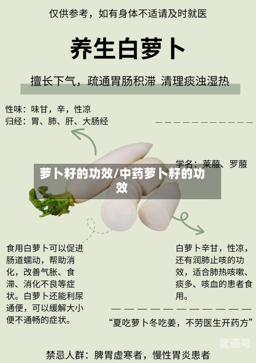 萝卜籽的功效/中药萝卜籽的功效
