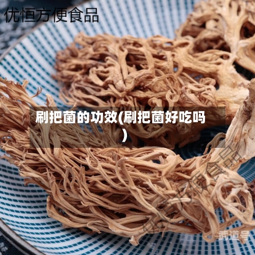 刷把菌的功效(刷把菌好吃吗)