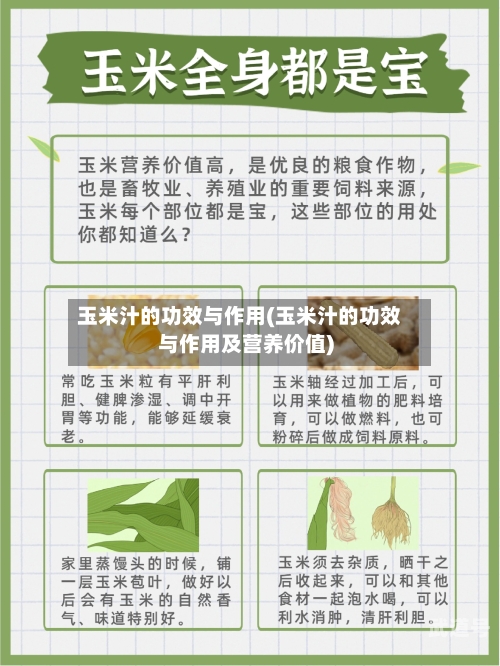 玉米汁的功效与作用(玉米汁的功效与作用及营养价值)