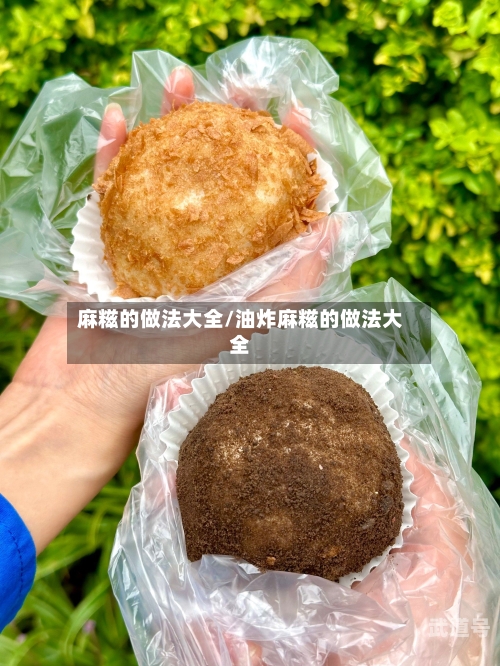 麻糍的做法大全/油炸麻糍的做法大全