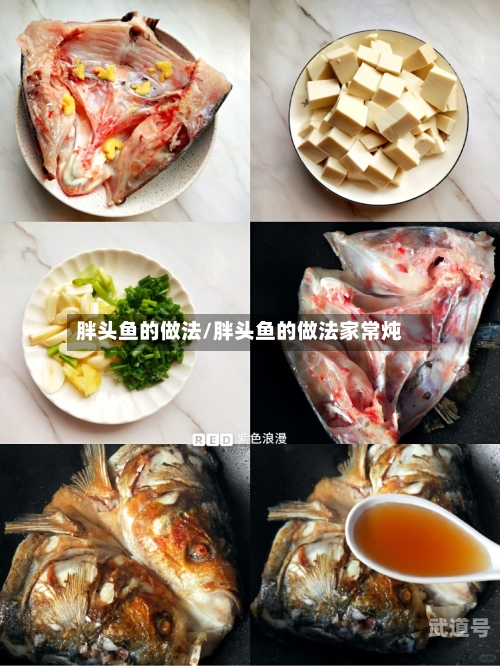 胖头鱼的做法/胖头鱼的做法家常炖