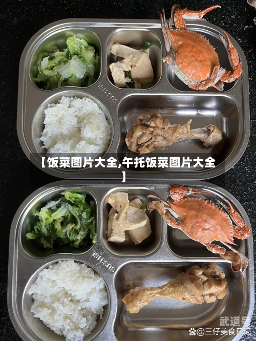 【饭菜图片大全,午托饭菜图片大全】