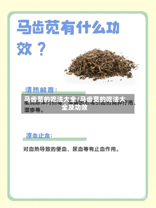 马齿苋的吃法大全/马齿苋的吃法大全及功效