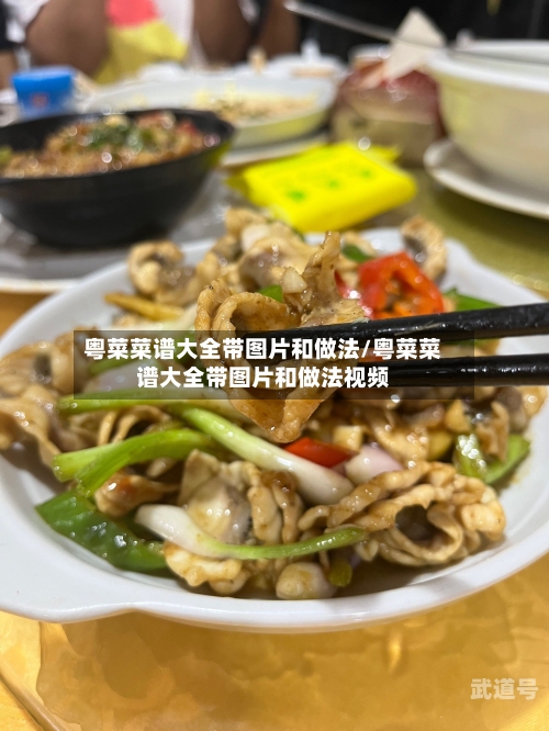粤菜菜谱大全带图片和做法/粤菜菜谱大全带图片和做法视频