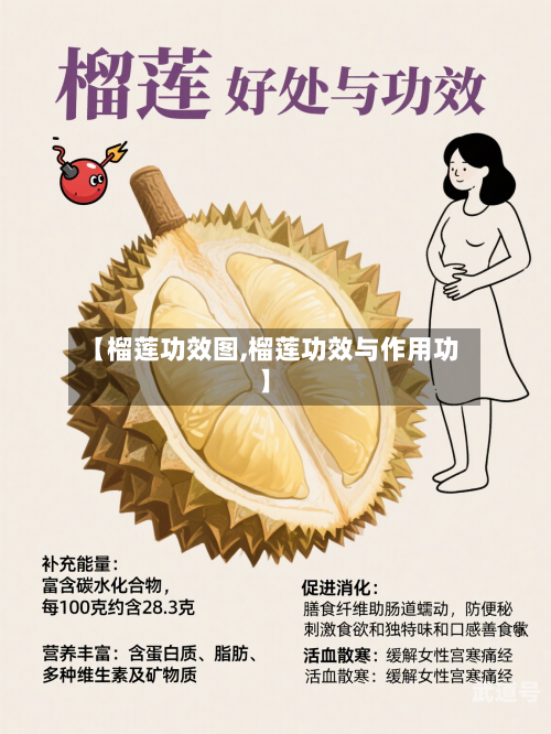 【榴莲功效图,榴莲功效与作用功】