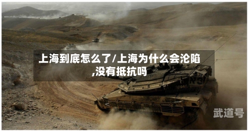 上海到底怎么了/上海为什么会沦陷,没有抵抗吗