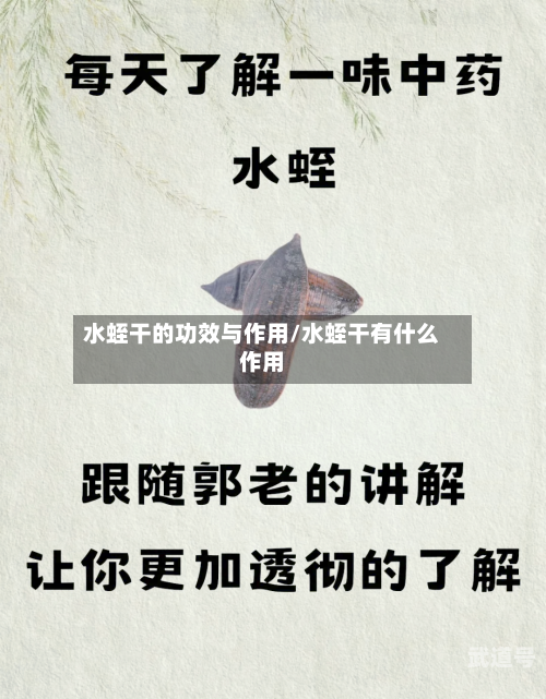 水蛭干的功效与作用/水蛭干有什么作用