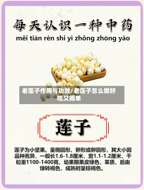 老莲子作用与功效/老莲子怎么做好吃又简单