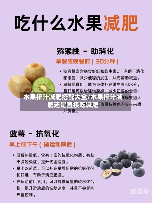 水果榨汁减肥搭配大全/水果榨汁减肥还是直接吃减肥