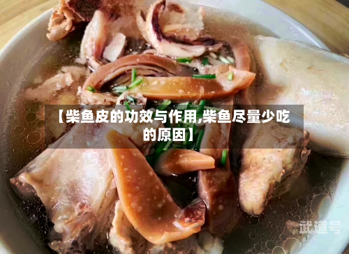 【柴鱼皮的功效与作用,柴鱼尽量少吃的原因】