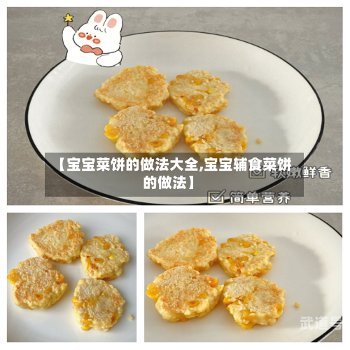 【宝宝菜饼的做法大全,宝宝辅食菜饼的做法】