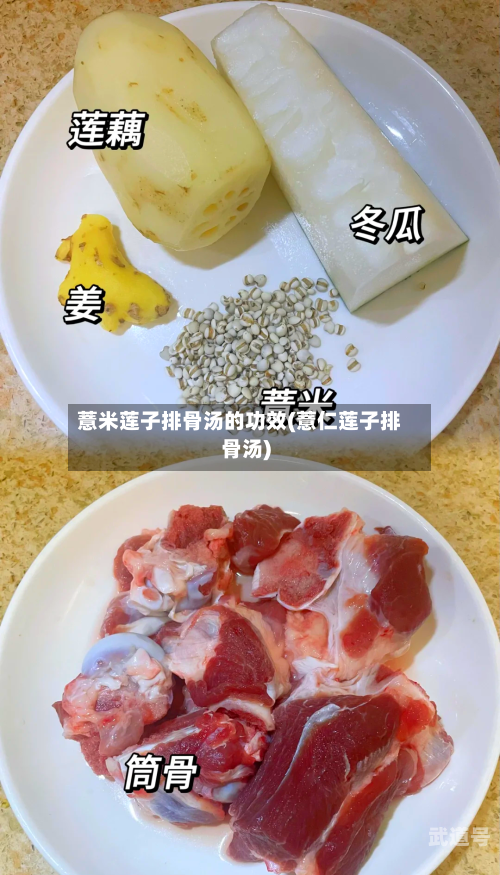 薏米莲子排骨汤的功效(薏仁莲子排骨汤)