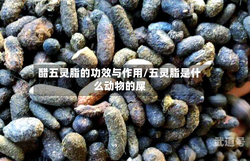 醋五灵脂的功效与作用/五灵脂是什么动物的屎