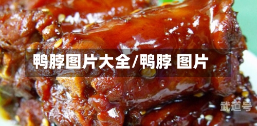 鸭脖图片大全/鸭脖 图片