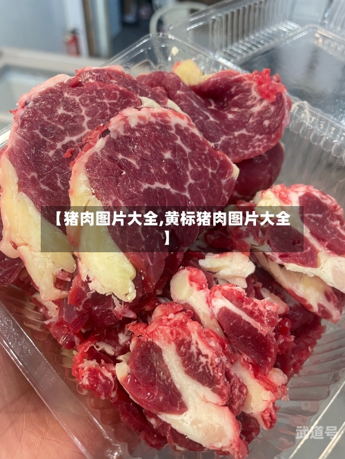 【猪肉图片大全,黄标猪肉图片大全】