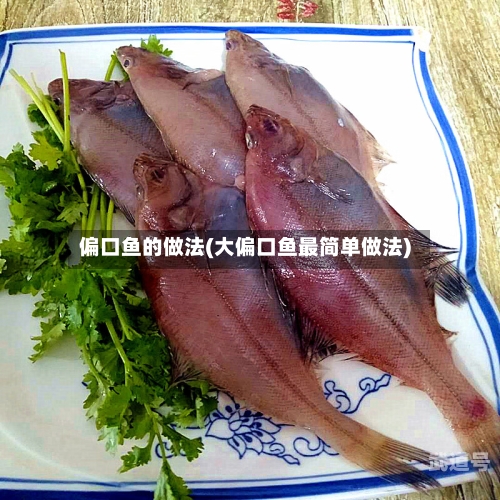 偏口鱼的做法(大偏口鱼最简单做法)