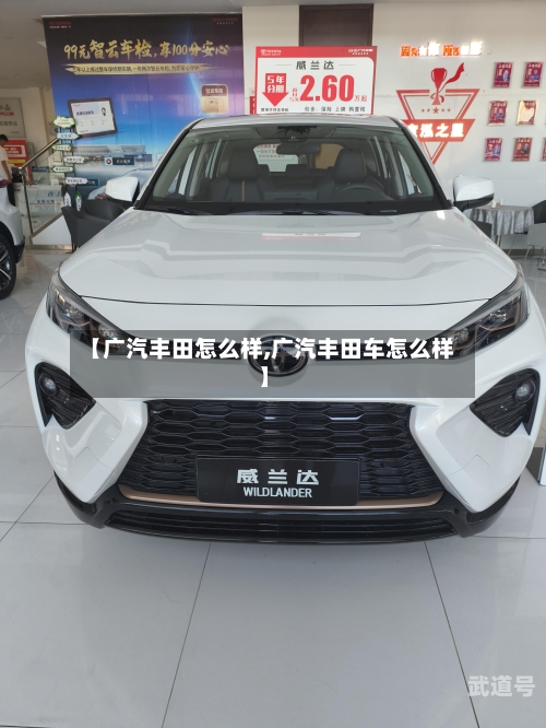 【广汽丰田怎么样,广汽丰田车怎么样】