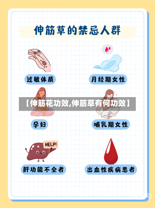 【伸筋花功效,伸筋草有何功效】