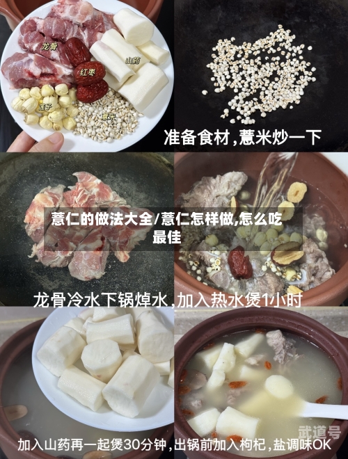薏仁的做法大全/薏仁怎样做,怎么吃最佳