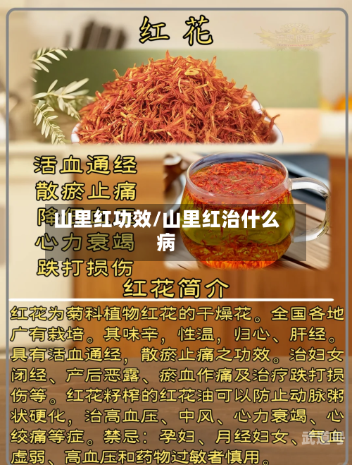 山里红功效/山里红治什么病