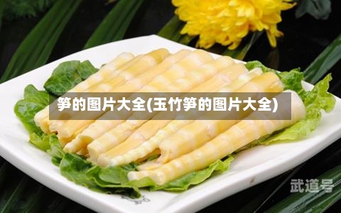笋的图片大全(玉竹笋的图片大全)