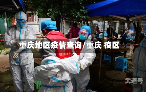 重庆地区疫情查询/重庆 疫区