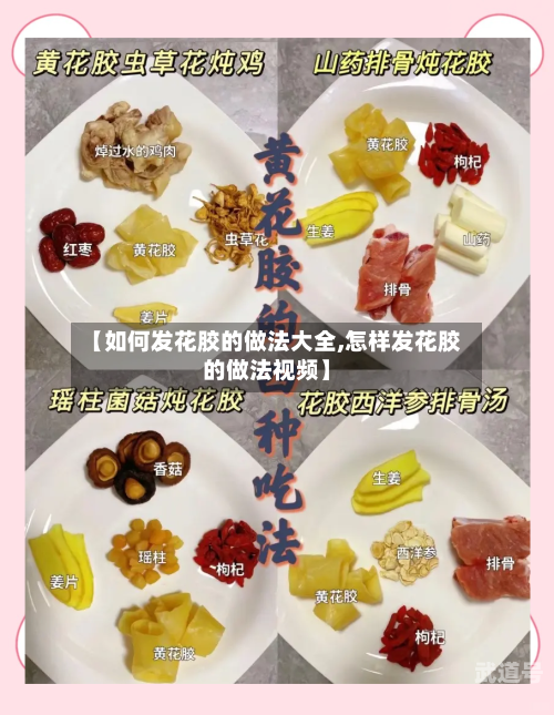 【如何发花胶的做法大全,怎样发花胶的做法视频】