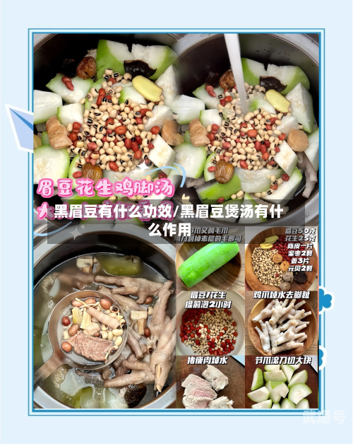 黑眉豆有什么功效/黑眉豆煲汤有什么作用
