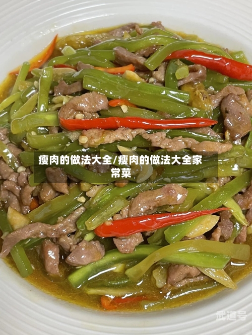 瘦肉的做法大全/瘦肉的做法大全家常菜