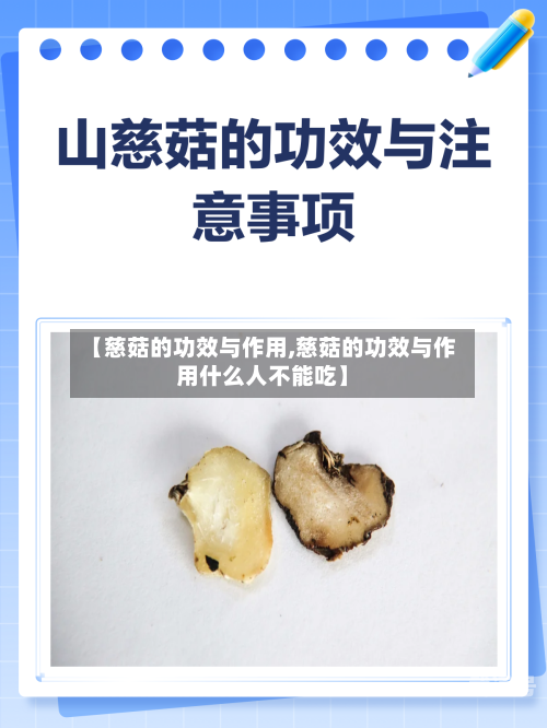 【慈菇的功效与作用,慈菇的功效与作用什么人不能吃】