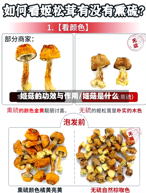 姬菇的功效与作用/姬菇是什么