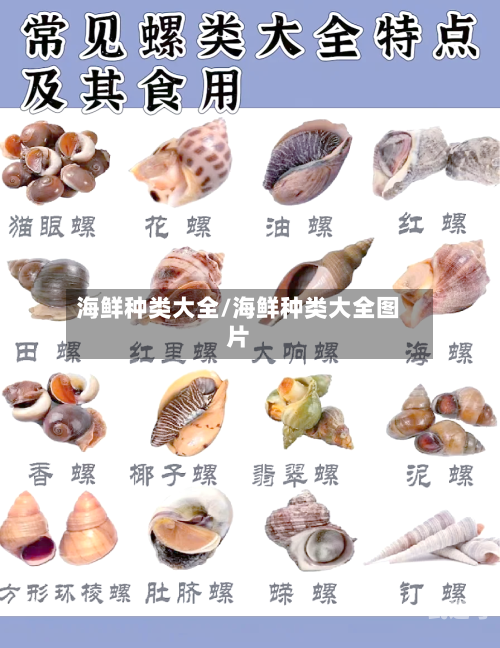 海鲜种类大全/海鲜种类大全图片