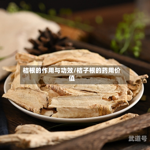 桔根的作用与功效/桔子根的药用价值