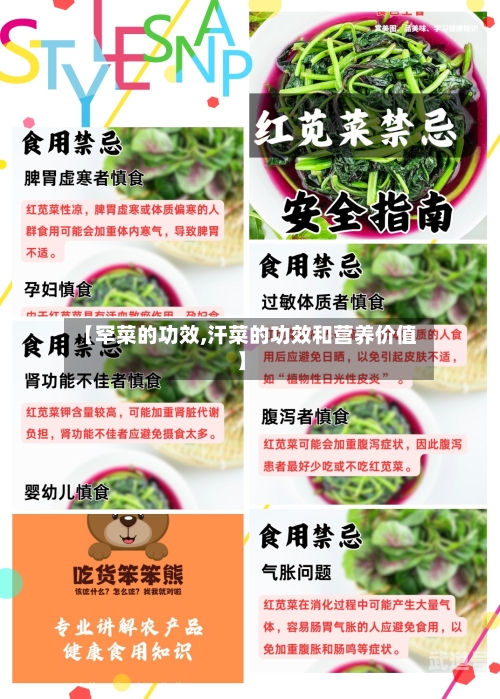 【罕菜的功效,汗菜的功效和营养价值】