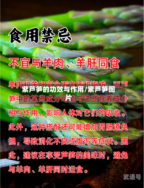 紫芦笋的功效与作用/紫芦笋图片