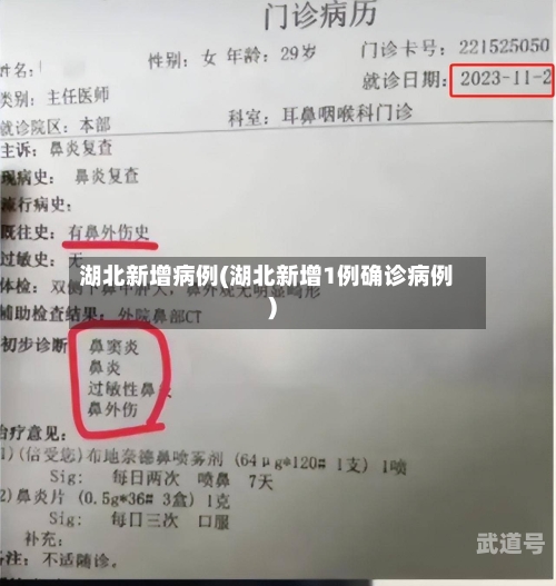 湖北新增病例(湖北新增1例确诊病例)