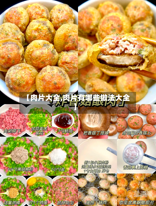 【肉片大全,肉片有哪些做法大全】