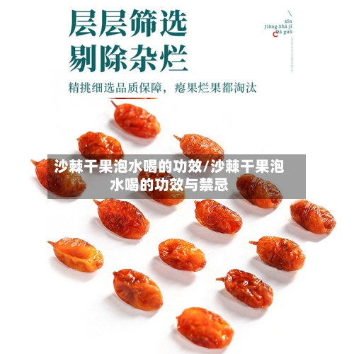 沙棘干果泡水喝的功效/沙棘干果泡水喝的功效与禁忌