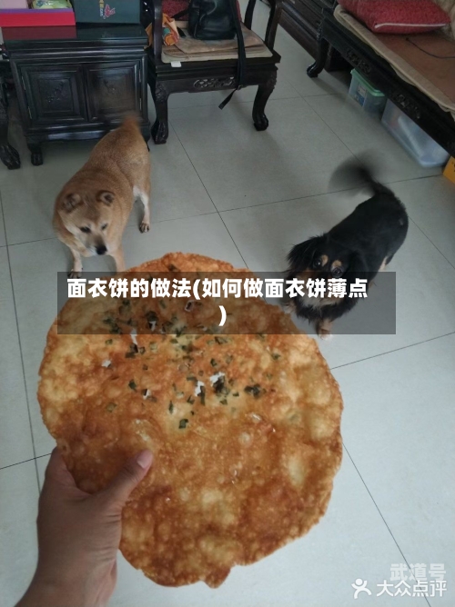 面衣饼的做法(如何做面衣饼薄点)
