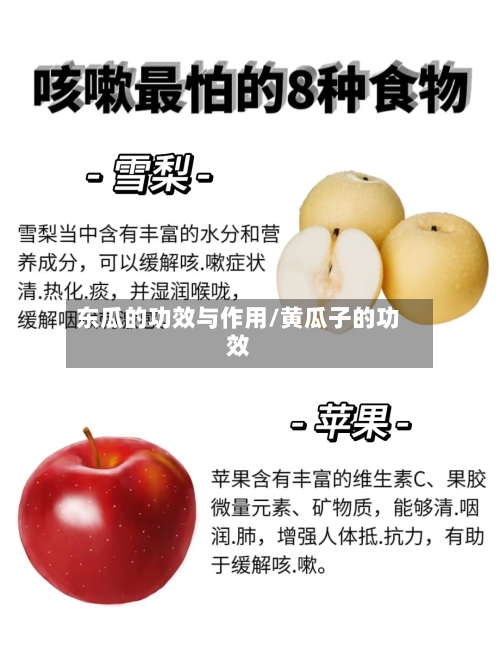 东瓜的功效与作用/黄瓜子的功效