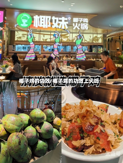 椰子鸡的功效/椰子鸡的功效上火吗