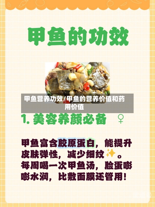 甲鱼营养功效/甲鱼的营养价值和药用价值
