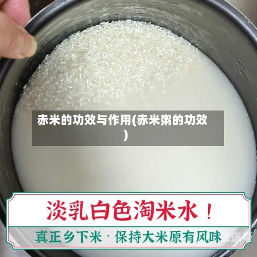赤米的功效与作用(赤米粥的功效)
