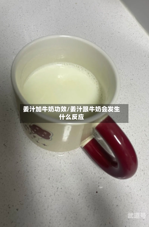 姜汁加牛奶功效/姜汁跟牛奶会发生什么反应
