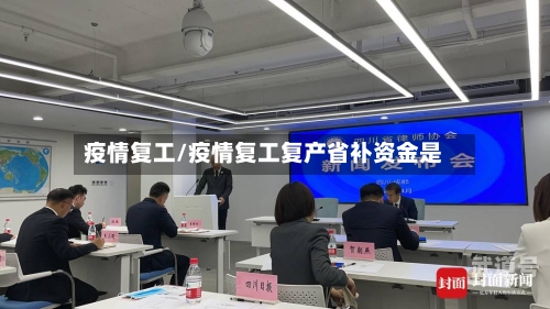 疫情复工/疫情复工复产省补资金是