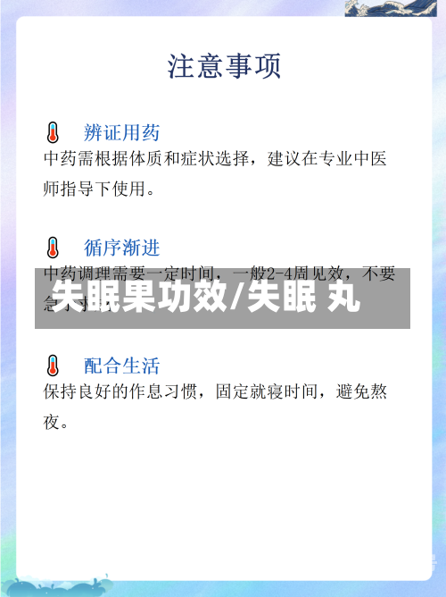 失眠果功效/失眠 丸