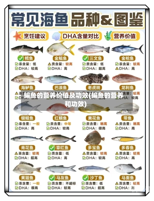 鳊鱼的营养价值及功效(鳊鱼的营养和功效)