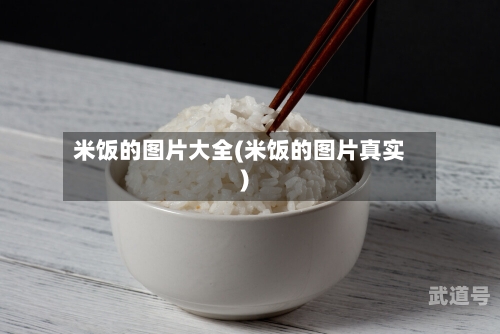 米饭的图片大全(米饭的图片真实)