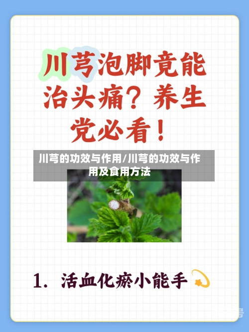 川芎的功效与作用/川芎的功效与作用及食用方法