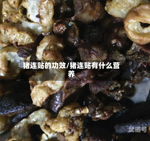 猪连贴的功效/猪连贴有什么营养